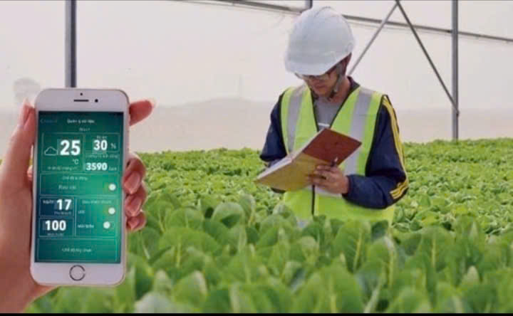 Nông dân với Chuyển đổi số - mở rộng thị trường, nâng cao thu nhập