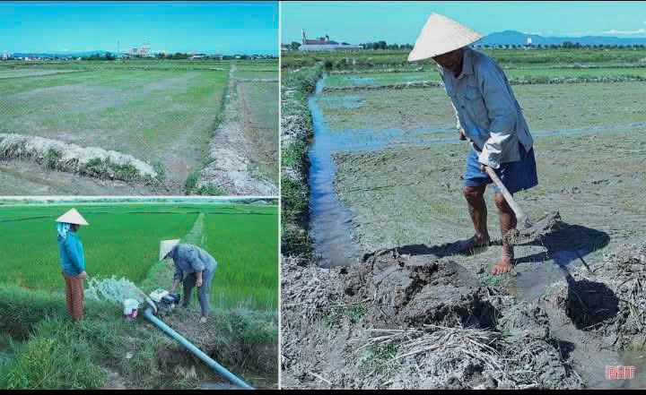 Tuyên truyền về việc giữ nguyên hiện trạng ruộng đất đã tích tụ, không tự ý đắp bờ chia thửa nhỏ trên địa bàn xã Cẩm Lạc
