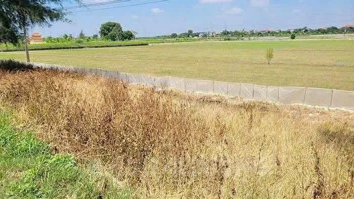 Nghiêm cấm sử dụng thuốc cỏ cháy