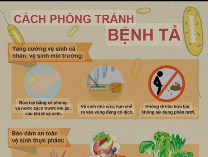 Về việc tăng cường công tác phòng, chống bệnh tả