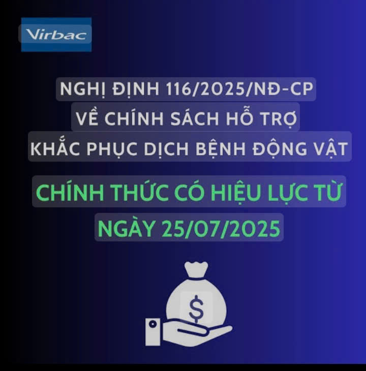 Tuyên truyền về thực hiện nghị định 116/2025/NĐ-CP về chính sách hỗ trợ khắc phục dịch bệnh động vật 