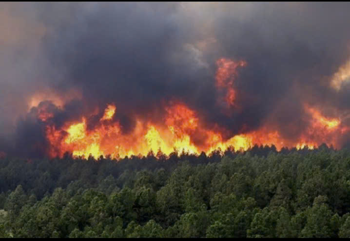 Tuyên truyền về việc tăng cường Phòng, chống cháy rừng