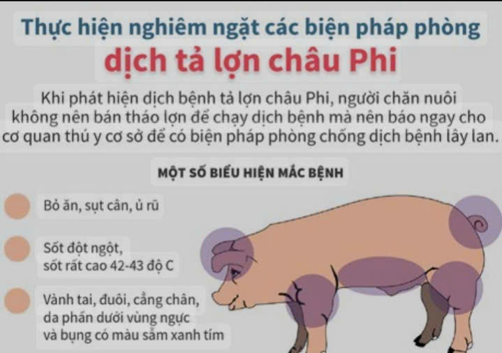 Tuyên truyền về Phòng - Chống dịch tả lợn Châu Phi, và những quy định xử phạt liên quan 