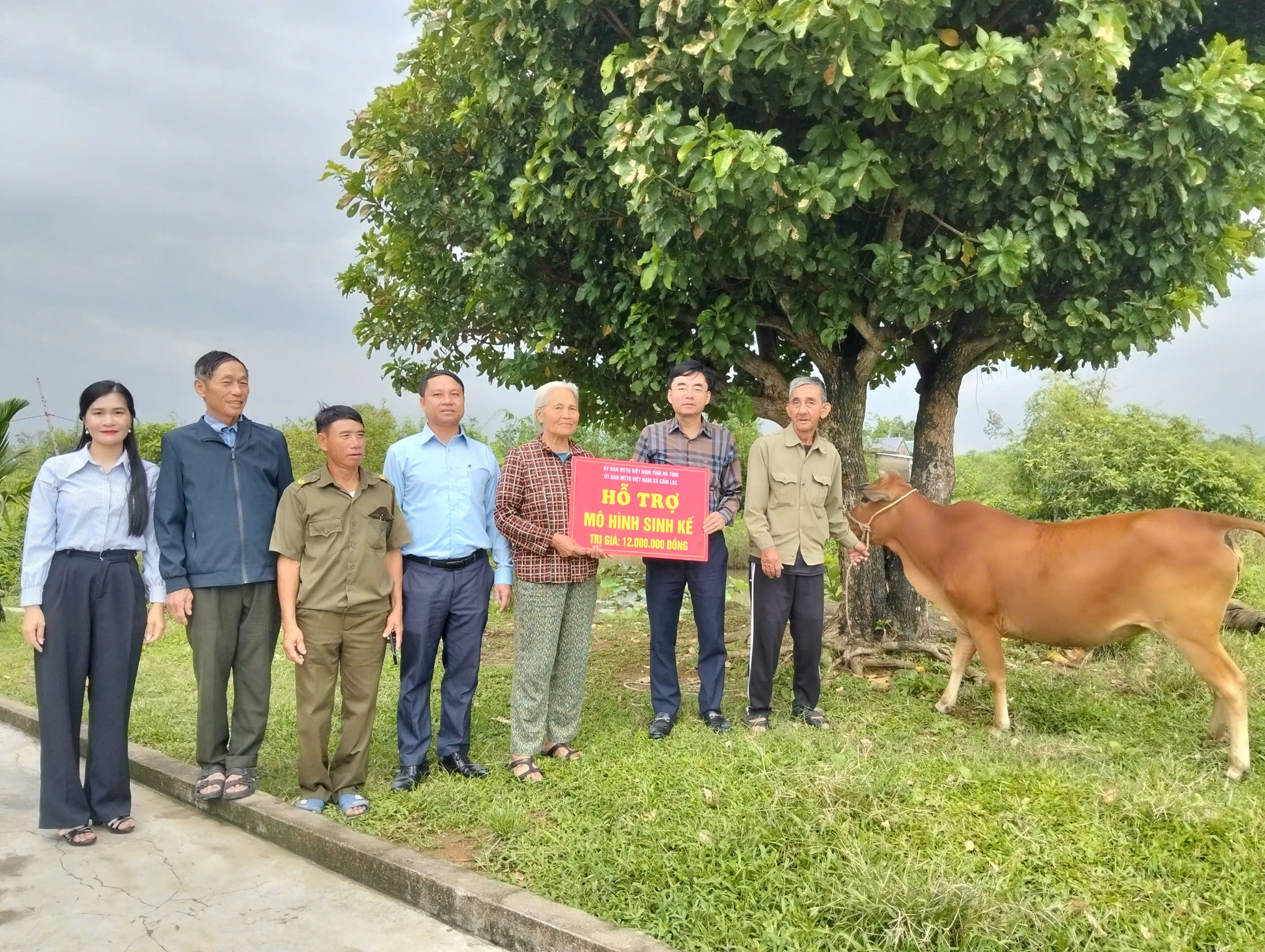 Cẩm Lạc trao bò sinh kế cho hộ khó khăn