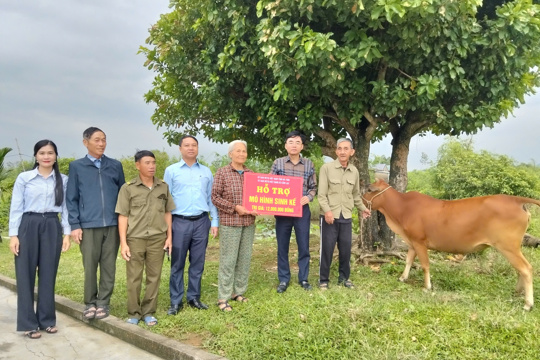 Cẩm Lạc trao bò sinh kế cho hộ khó khăn